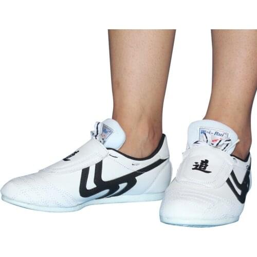 Taekwondo Shoes Taekwondo Sport Boxing Kung fu TaiChi Lightweight Breathable Shoes for Adults and Children Karate Taekwondo