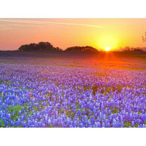 YIKEE diamond painting Flower Sea,cross stitch diamond,diamond mosaic paintings Y293