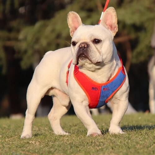 ANGDUO Harnesses