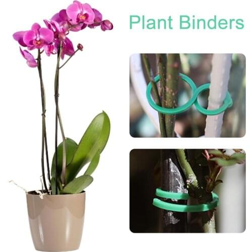 30PCS Plastic Plant Support Clips Garden Vegetable Binding Clip Greenhouse Vegetables Tomatoes Clips Supplies