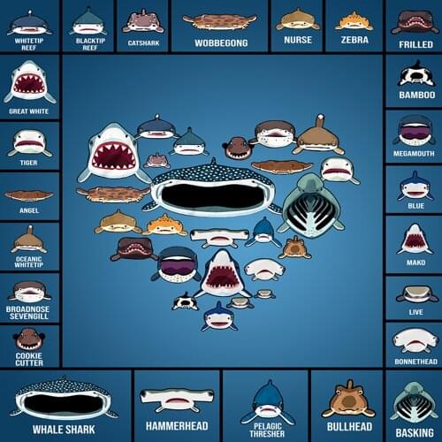 3D underwater world print carpets for living room bedroom decor area rugs kids play non-slip large carpet child room tatami mat