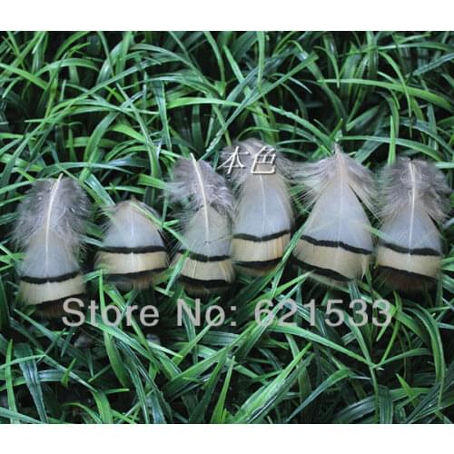 200Pcs/Lot 4-7cm Nature Colour Alectoris Chukar Pheasant Loose Feathers,Loose Pheasant plumage feathers