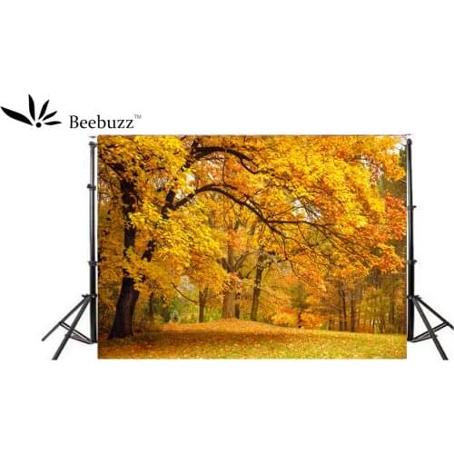 Beebuzz Photo Background Autumn Golden Maple Forest Photo Backdrop