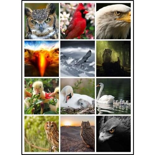 LIPHISFUN Diamond Painting 5D DIY Embroidery Cross Stitch Full Drill Home Decor Square/round Cute Bird Eagle Swan Duck