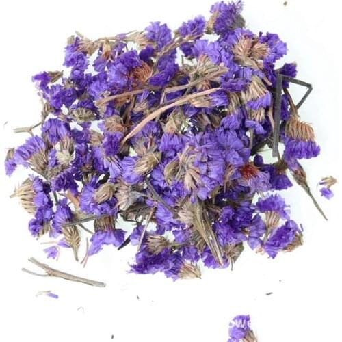 10g Dried Flower Lavender Jasmine Rose Epoxy Resin Filling Real Flower for Nail Art Home Decor Resin Crafts