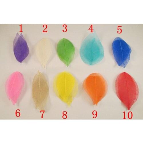 Wholesale 100pcs/Bag 5Bag/lot mixed colors Natural skeleton leaves for DIY and home decor Card making A