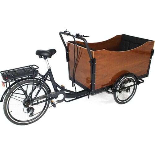 New Design Electric Family Cargo Bike Adult Tricycle for Transport and Grocery Shopping 6 Gear Speeds 250w Customizable