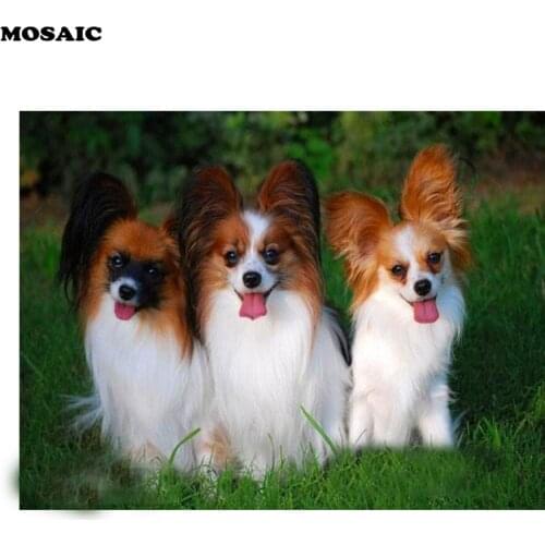 Embroidery diamond Papillon Animal diamond painting full square mosaic picture of rhinestones cross stitch bead Christmas gifts