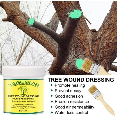 Tree Wound Pruning Sealer & Grafting Compound 30/100/300g Wound Dressing with Brush for Bonsai Branch _WK