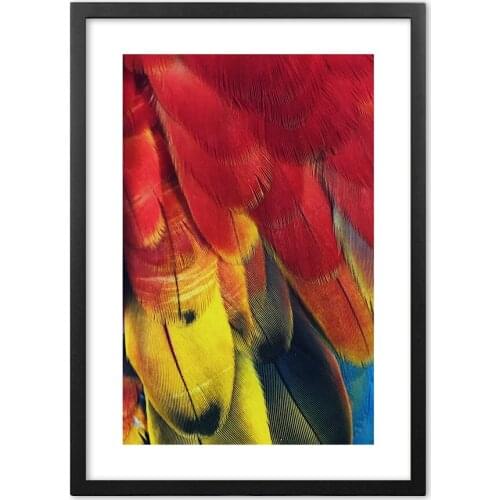 Nordic Modern Multicolored Parrot Feathers Nordic Art Wall Art Paper Painting Landscape Wall Pictures For Living Room Decor