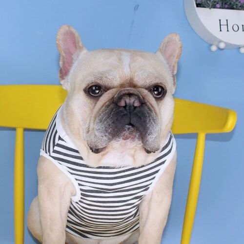 Tiger Dog New Summer Dog Clothes Soft T-shirt Thin Vest Striped Round Neck For Small Medium Corgi Teddy Dog Puppy Pet Clothing