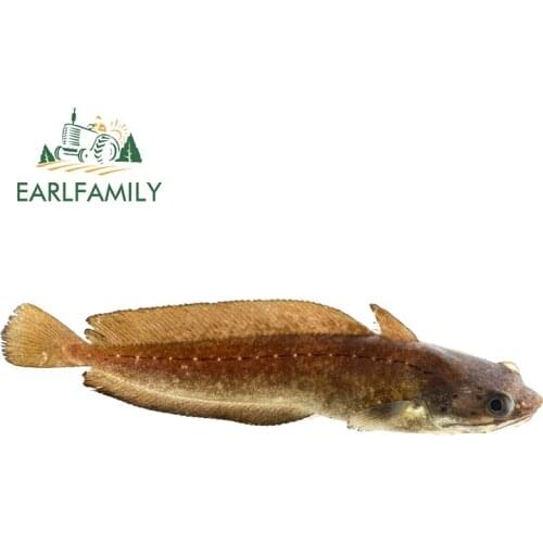 EARLFAMILY 13cm x 3.3cm for Catfish Vinyl Car Stickers Funny Car Assessoires Decal Motorcycle Waterproof Sticker Scratch-Proof