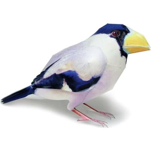Grosbeak Bird Paper Model Realistic Animal Mini Cute Fold 3D Papercraft DIY Kids Adult Handmade Construction Craft Toys WE-026