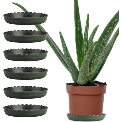 Plant Pot Holder Dish Spring Base Plate Round Kit Indoor Home Garden Decoration Easy To Clean And Wash Planter Plastic Saucer