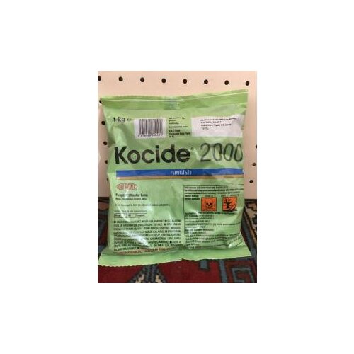 KOCİDE 2000 1 KG