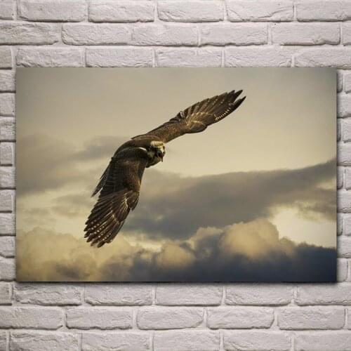 Eagle predator flight sky wings clouds KA699 living room home wall modern art decor wood frame poster