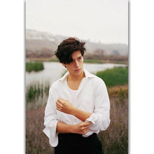 Cole Sprouse USA TV Series Show Actor Star Silk Fabric Wall Poster Art Decor Sticker Bright