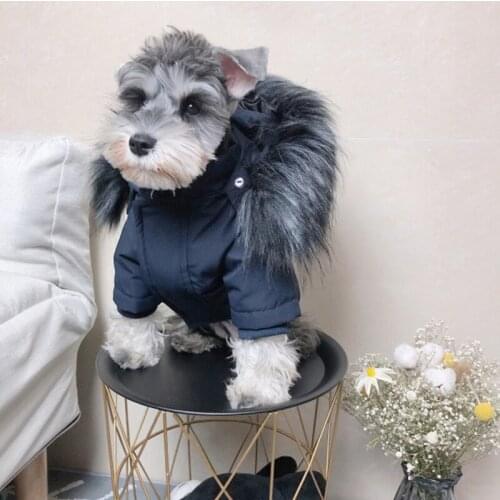 Fashion Dog Down Jacket Wear Dogs Puppy Snowsuit Winter Warm Sweater Schnauzer Pug French Bulldog Hoodie Coat Dropshipping YHC10