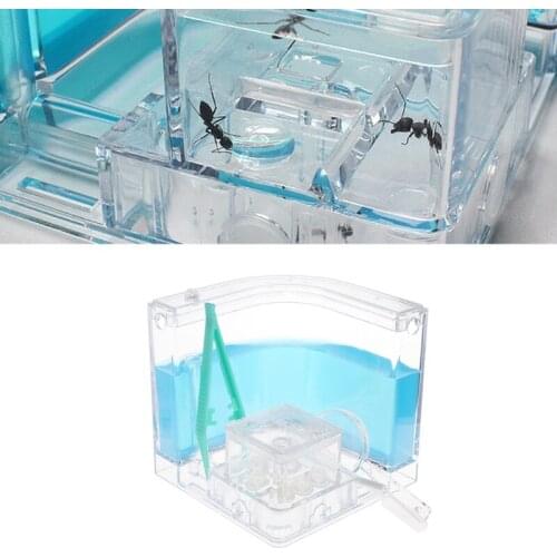 Hot Selling Ant Farm Gel Maze 3D Educational Nursery Live Feeding System Novelty Habitat New Nov2