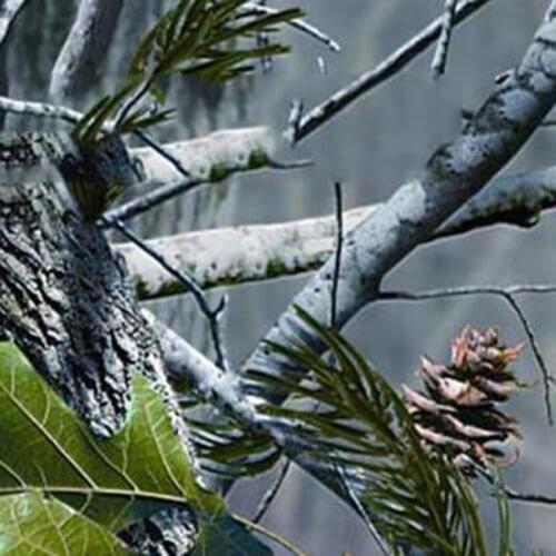 Free shipping 0.5mX2m/10m new camo trees hydrographics film CSMH1022 water transfer printing film