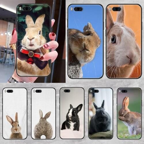Cute Rabbits Baby Phone case For Xiaomi Mi Max Note 3 A2 A3 8 9 9T 10 Lite Pro Ultra black silicone funda soft cell cover