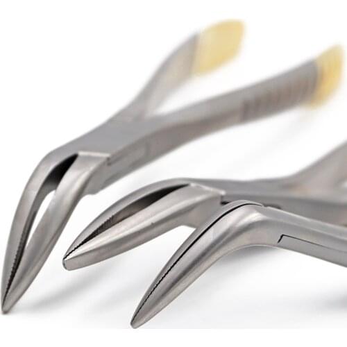 Dental Root Fragment Minimally Invasive Tooth Extraction Forcep Instrument Curved Maxillary Mandibular Universal Plier Tool
