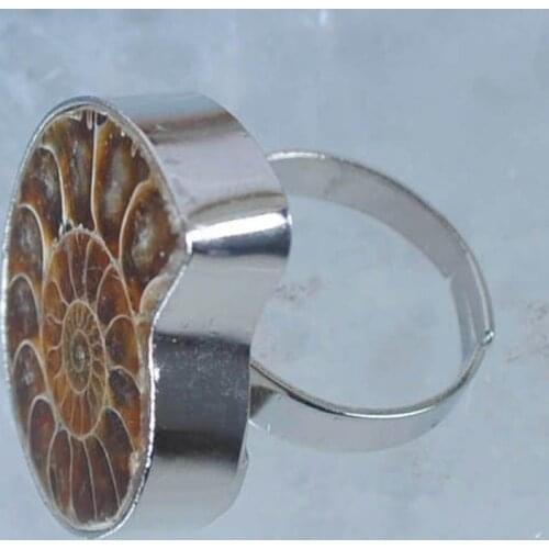 Natural Ammonite Fossi Inlay Finger Ring Size 9 Jewelry X061