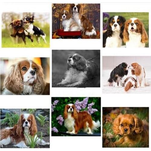 Diamond painting cross stitch Cavalier King Charles Spaniel full square 5d diy diamond embroidery cute pet mosaic dog C567