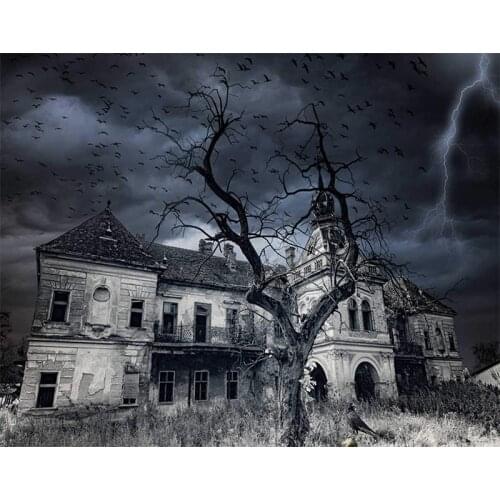 Abandoned Building,Creepy Castle Flock of Birds Tree Lightning 5D Diy Diamond Painting Full Embroidery Moasic Art Home Decor