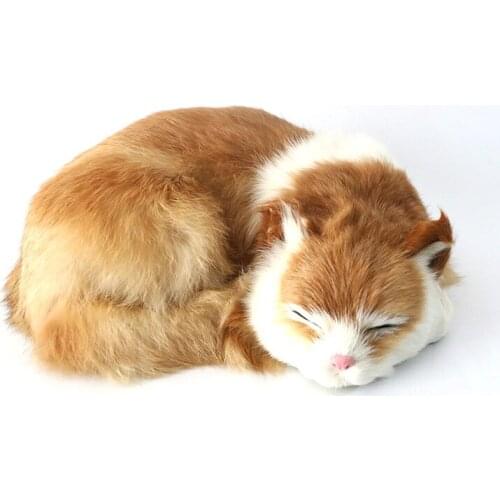 Cute cats plush sleeping cats beautiful dolls childrens Christmas gifts to accompany toys gifts gifts ornaments childrens birt