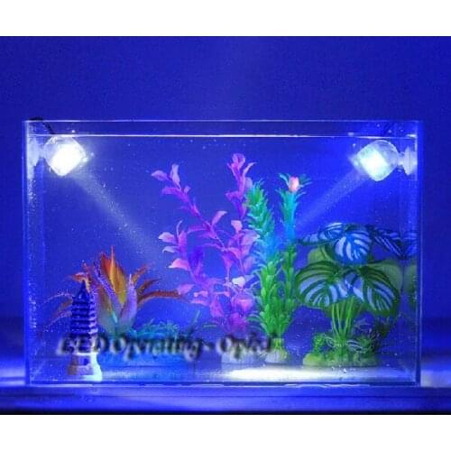 NeverElse Lighting For Aquariums