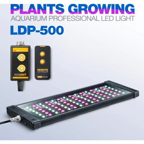 LICAH LED Holiday Light Bulbs
