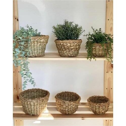 Mini Straw Pot Set 3 Pcs 3 Pcs Flower Pot, Natural Hand-Knitted Decorative Wire Mesh