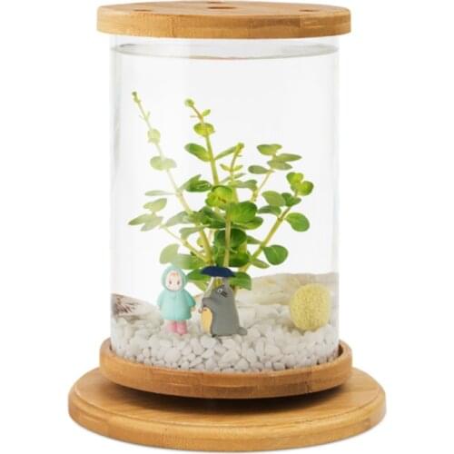 Office Transparent Fish Tank Wood Stand Creative Glass Ecosystem Fish Tank Home Small Aquarium Peceras Fish Accessories EI50YG