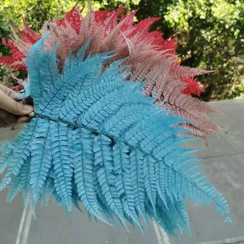 25*40CM/10pcs,Natural Fresh Preserved Fiddlehead Ferns,mid size Flower Leaves for Wedding Home Decoration Accessories