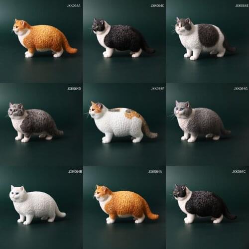 1/6 Big Fat Cat British Shorthair Resin Animal Model Pet Animal JxK.Studio JXK064 Scene Accessories Desktop Ornaments