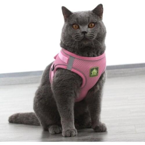 Dog Chain Leash Collars Cats And Dogs Chest StrapReflective Breathable Dog Chain Leash For Cats And Dogs Chest Strap Home Supply