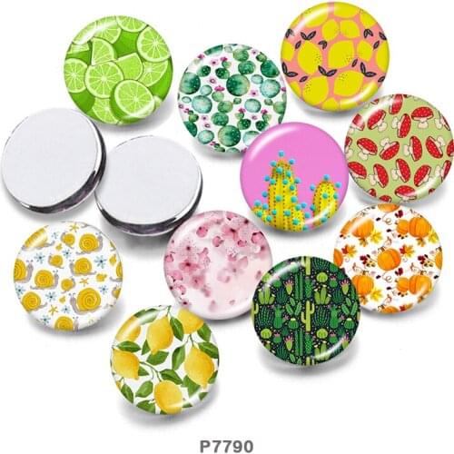Fruit 12mm/18mm/20mm/25mm/30mm Round Glass Cabochon Flat Back Making Findings P7790