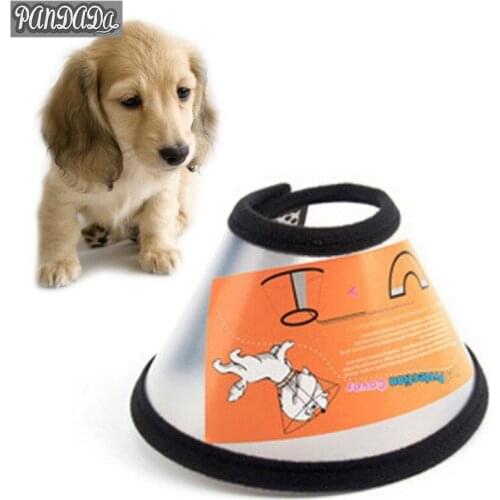 2019 New Puppy Dog Cone Elizabethan Collar Pet Dog Protective Wound Healing Prevent Lick Collars mascotas isabelino perro