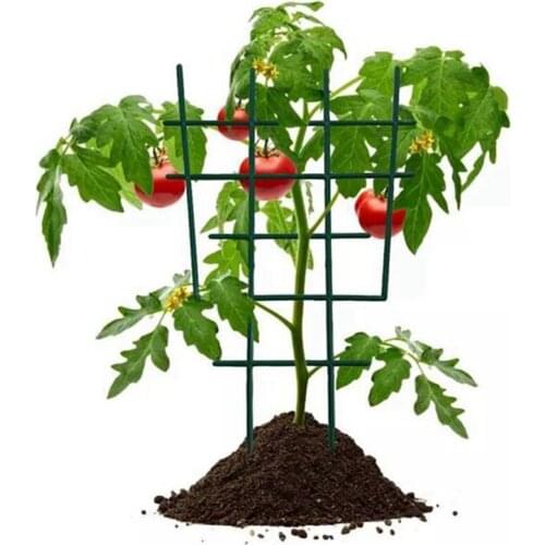 MLGB 10 Pcs Climbing Plants Support Mini Plastic Plant Trellis DIY Garden Potted Growing Support for Climbing Plants Vine