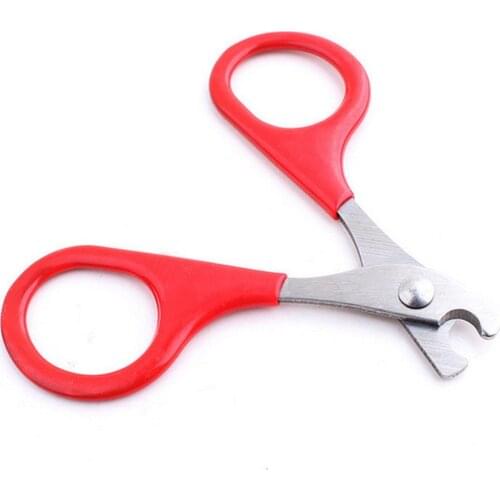 1 Pcs Dog Cat Nail Scissors And Medium Dogs / Pet Nail Clippers Kitten Beauty Scissors