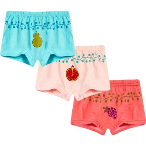 3Pcs/Pack Cute Baby Boys Girls UnderwearCotton Floral Print Panties Kids Boxers Shorts 2-6Y Children Cute Cartoon Underwares