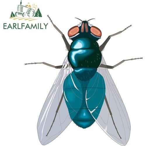 EARLFAMILY 13cm x 11.6cm For No Flies On Me Funny Car Assessoires Stickers Personality Auto Bumper Windows Decal Scratch-Proof