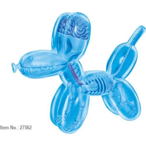 4d Blue Purple Balloon Dog Transparent Perspective Animal Anatomy Skeleton Bone Puzzle Assembly Toy for Children