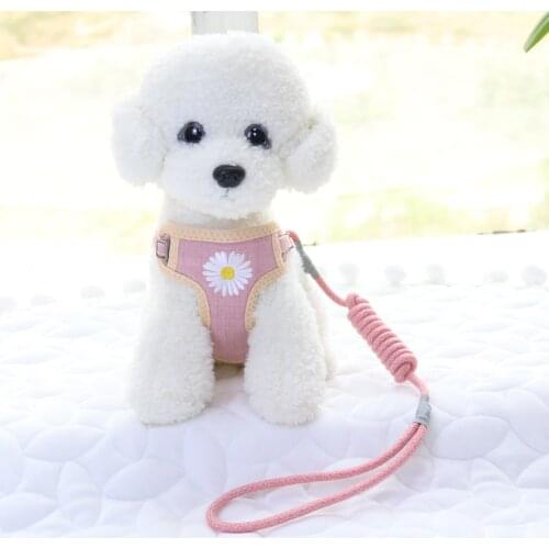 Dog Harness and Leash Set Soft Breathable Mesh Embroidery Cat Harnesses Leash for Small Medium Dogs Cats Vest Dog Supplies