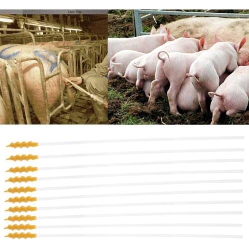 10pcs Disposable Pigs Sheep Artificial Insemination Breed Catheter Tube Rod