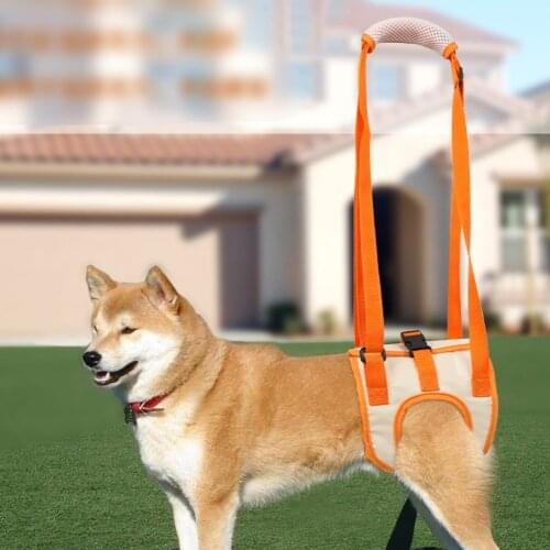Harness Assist Lift Support Rehabilitation Belt Injured Disabled Dogs Care Hind Leg Rehabilitation Exercise Mesh Belts
