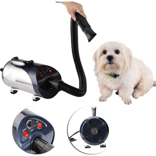 2800W Quiet Hair Dryer With Nozzle for Pets Dog Cat Pet Force Dryer Heater EU/UK/US 1PCS