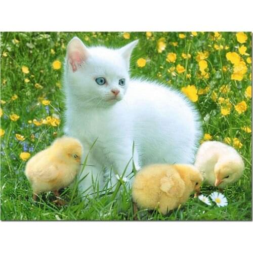 DIY Diamond Painting cross stitch picture 5D Diamond Embroidery white cat and Baby chicken Full Square round Mosaic rhinestones
