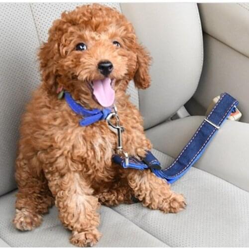 Pet Dog Car Seat Belt Harness Collar Traveling Puppies Carrying Cats Large Dogs Rear Seat Co-pilot Adjustable Teddy Bulldog